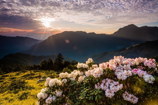 Азорские острова