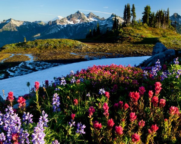 Природа Луга поля горы Россия