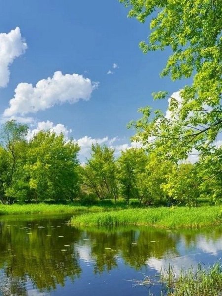 Доброе утро природа