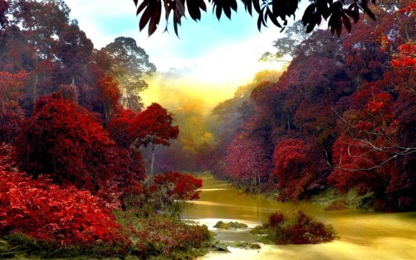 Обои на рабочий стол природа