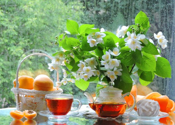 Яркая природа