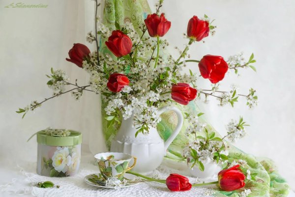 Цветы на рассвете