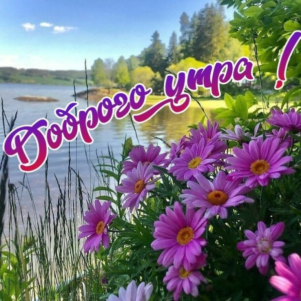 Теплое лето