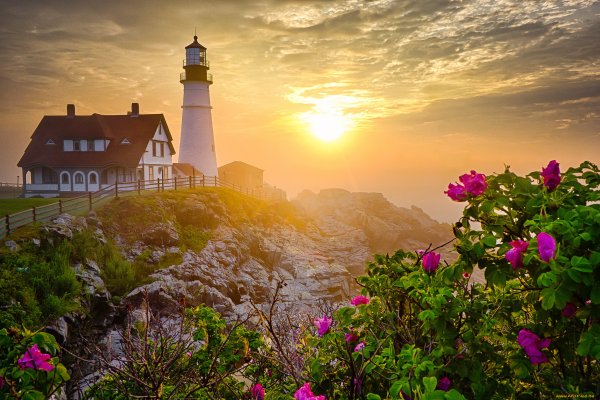 Весеннее чаепитие