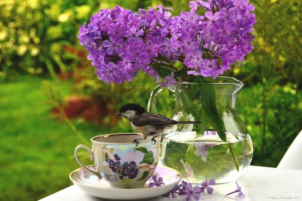 Вертикальные лето природа