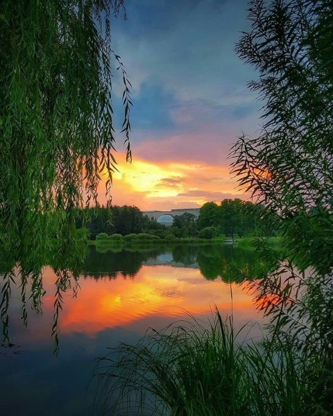 Анимационные открытки доброй ночи