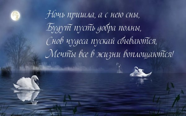 Уютного вечера и сладких снов