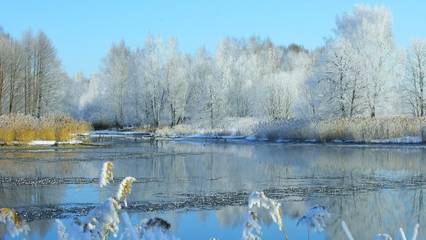 Весенний рассвет