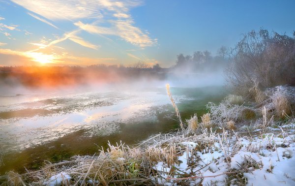 Натюрморт на природе