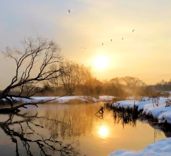 Весенние живые пейзажи
