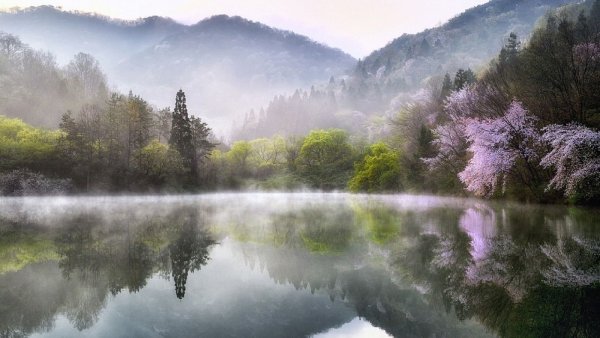 Природа весной