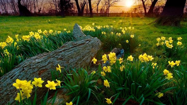 Рассвет в горах