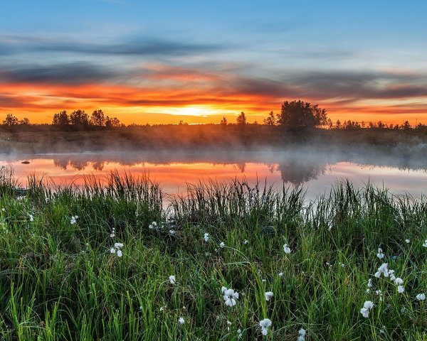 Солнечный весенний день