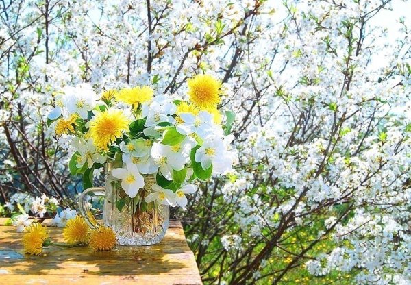 Весна солнце цветы