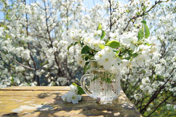 Солнце весной