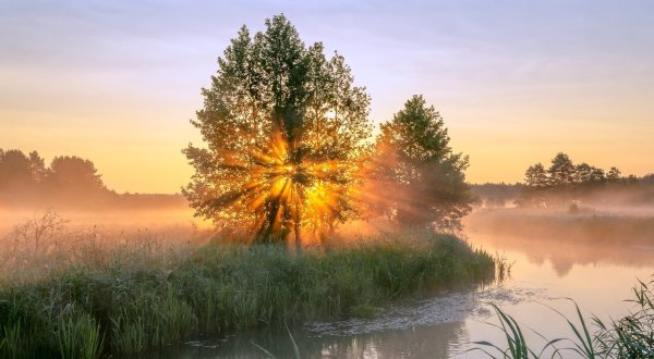 Утренний пейзаж