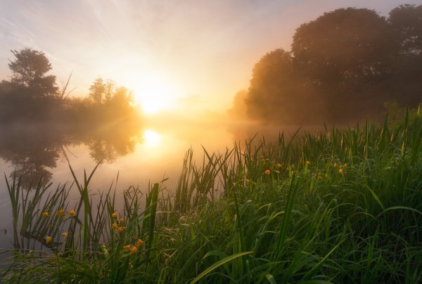 Туманный пейзаж