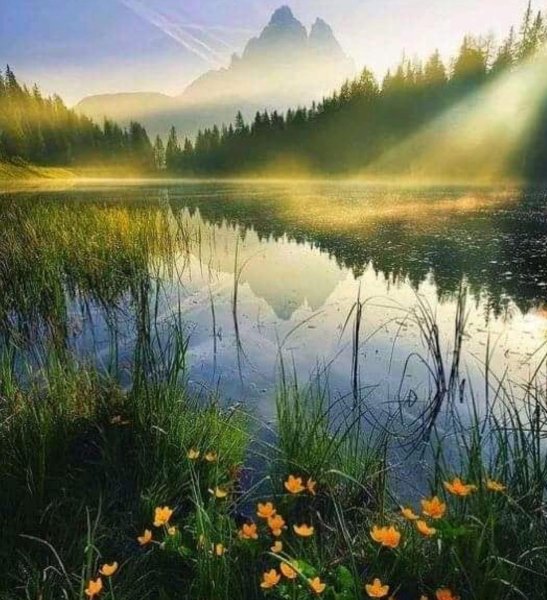 Природа солнце