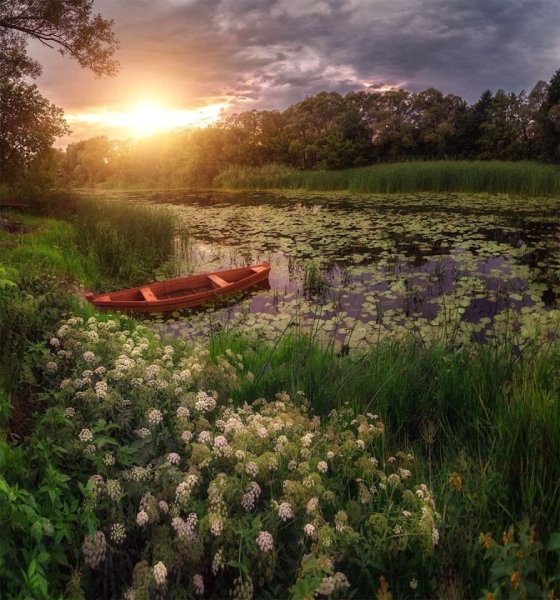 Яркий пейзаж