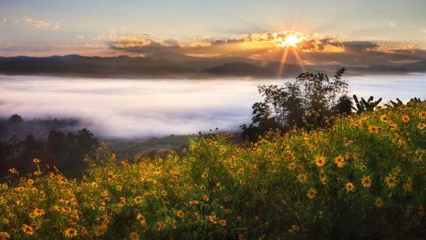 Красивая русская природа