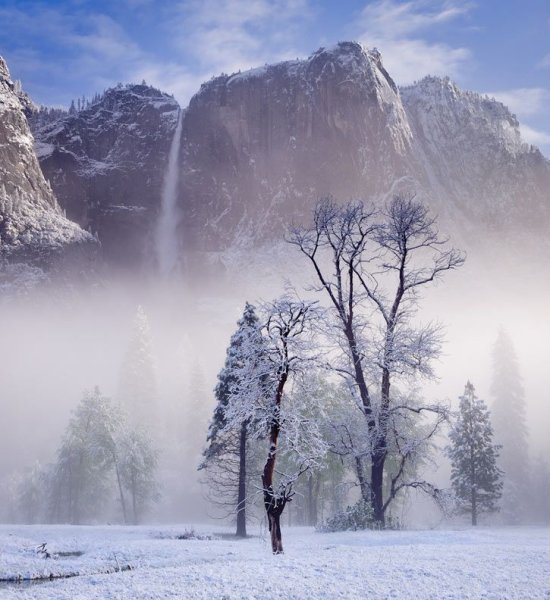 Белый пейзаж