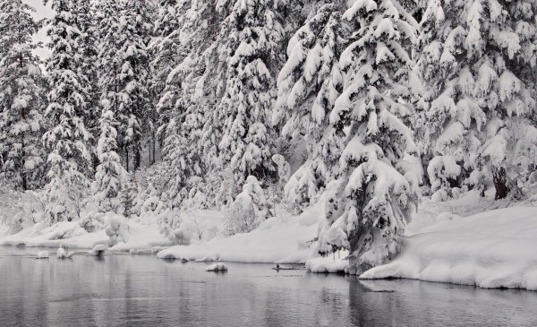 Чёрно-белый пейзаж