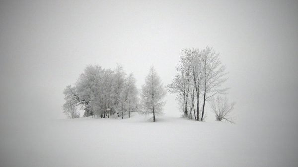 Ансель Адамс