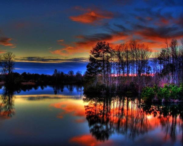 Природа в розовых тонах