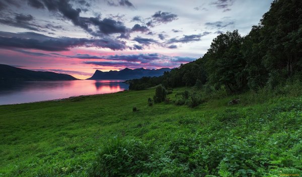 Природа настоящая