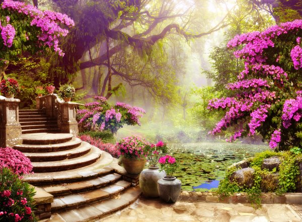 Красивый сад