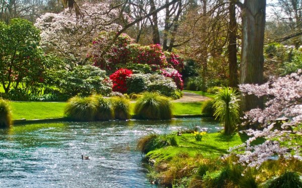 Красивый парк