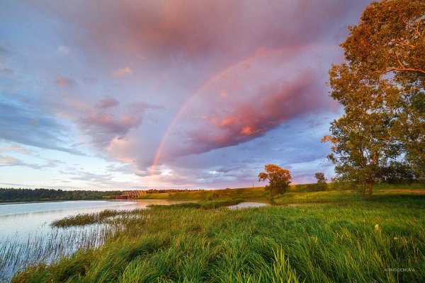 Солнце после дождя пейзаж