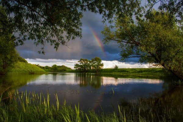 Природа после дождя