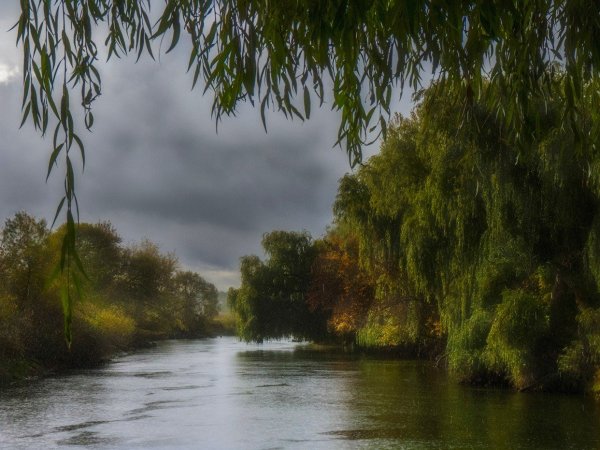 Красивая природа дождь