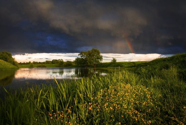 Лето после дождя