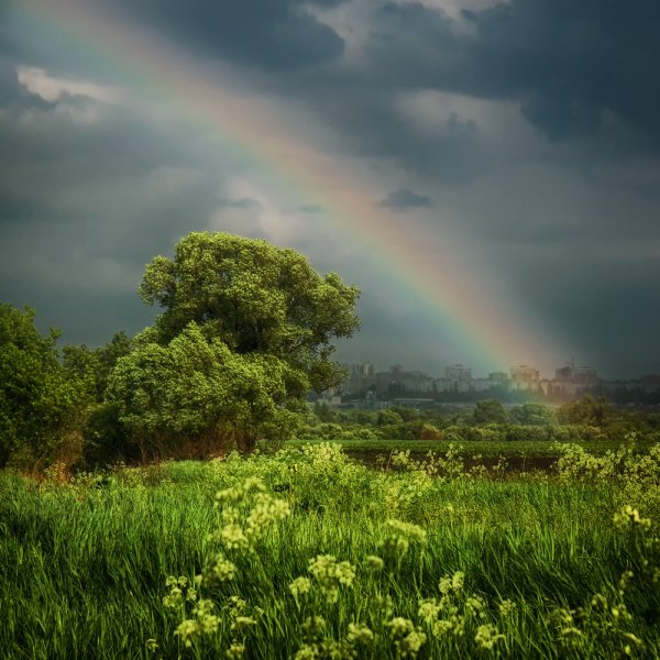 Радуга после дождя