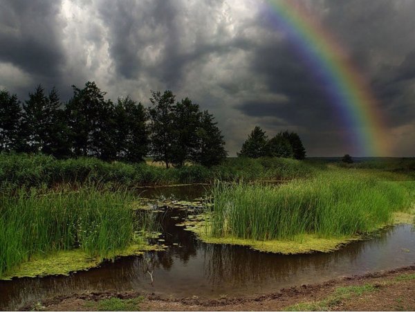 Природа дождь