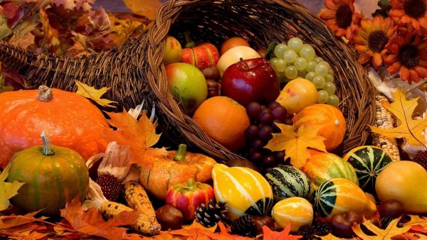 Осенние дары природы