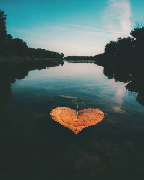 Любовь к природе