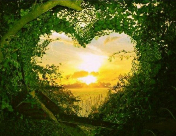 Сердце в природе