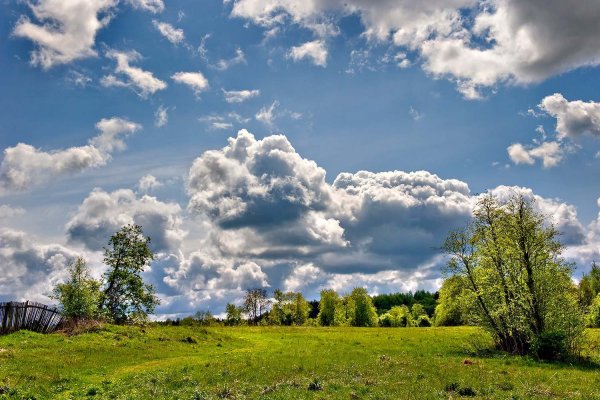 Природа Подмосковья