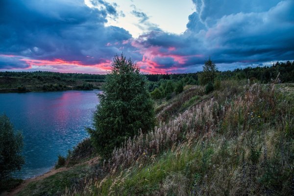 Природа Подмосковья