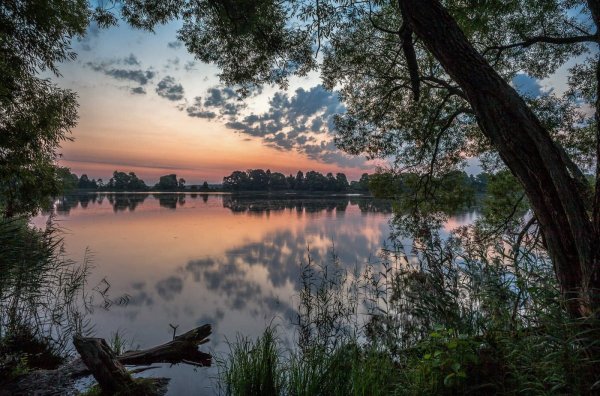 Пейзажи Подмосковья