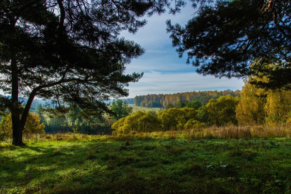 Природа Мытищинского района Московской области