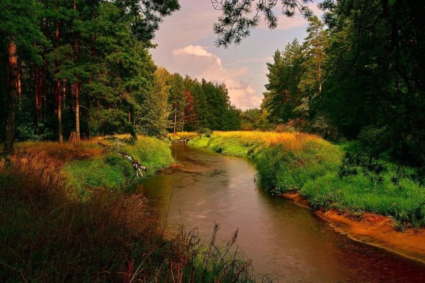 Река Нерская в Подмосковье