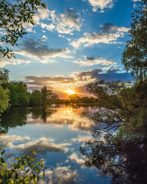 Руза Московская область природа