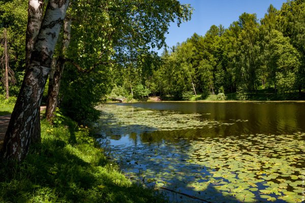 Реки Подмосковья