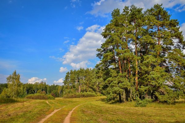 Природа Подмосковья