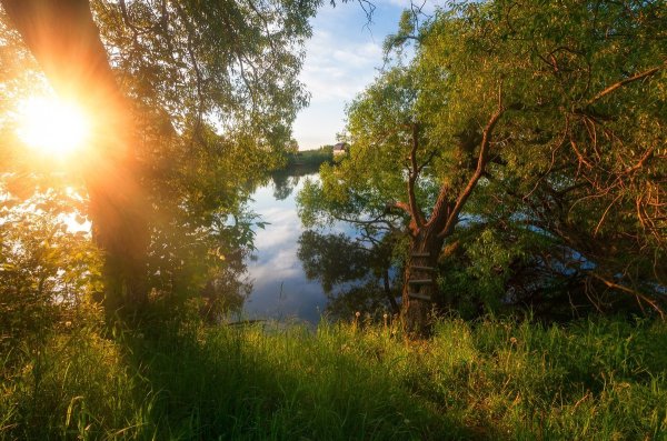 Город Дубна река Дубна