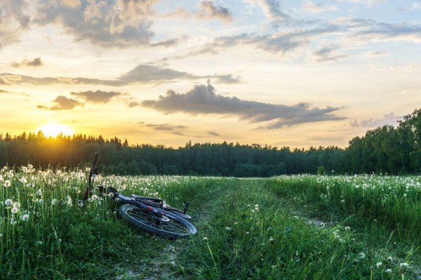 Подмосковная природа